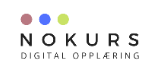 NOKURS KI logo